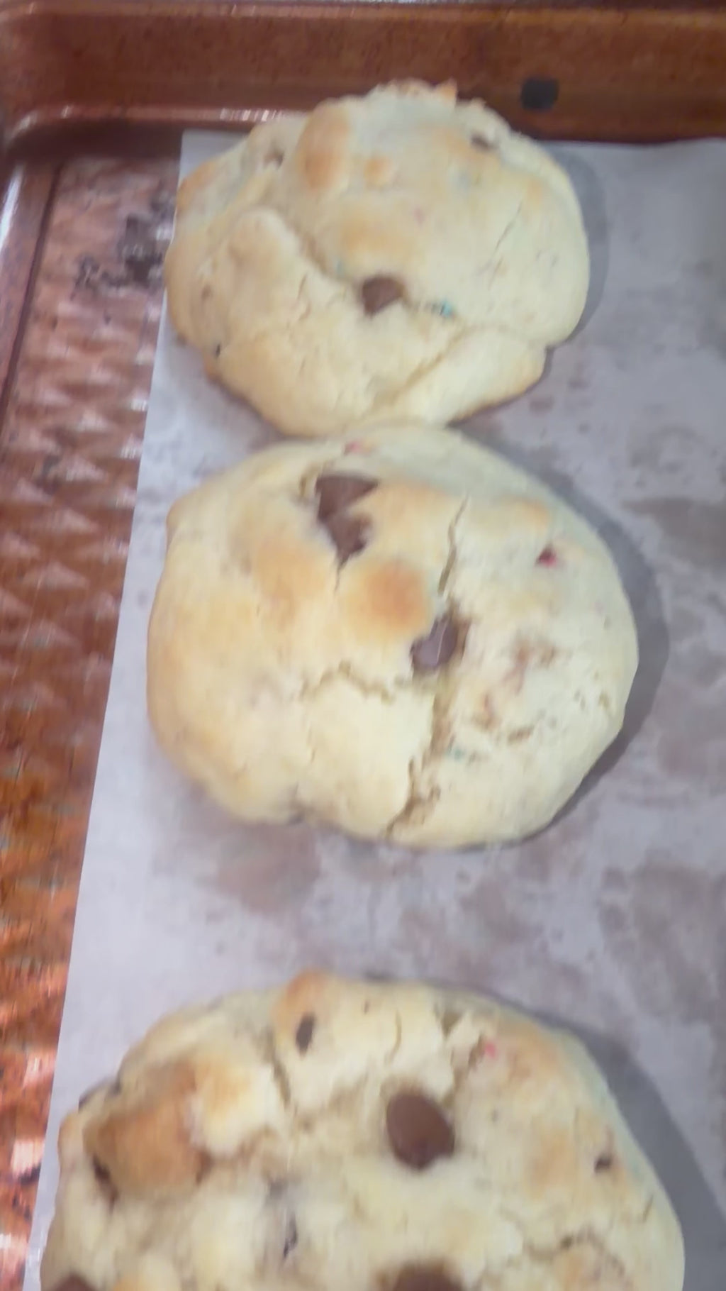 Chocolate chip rainbow cookies